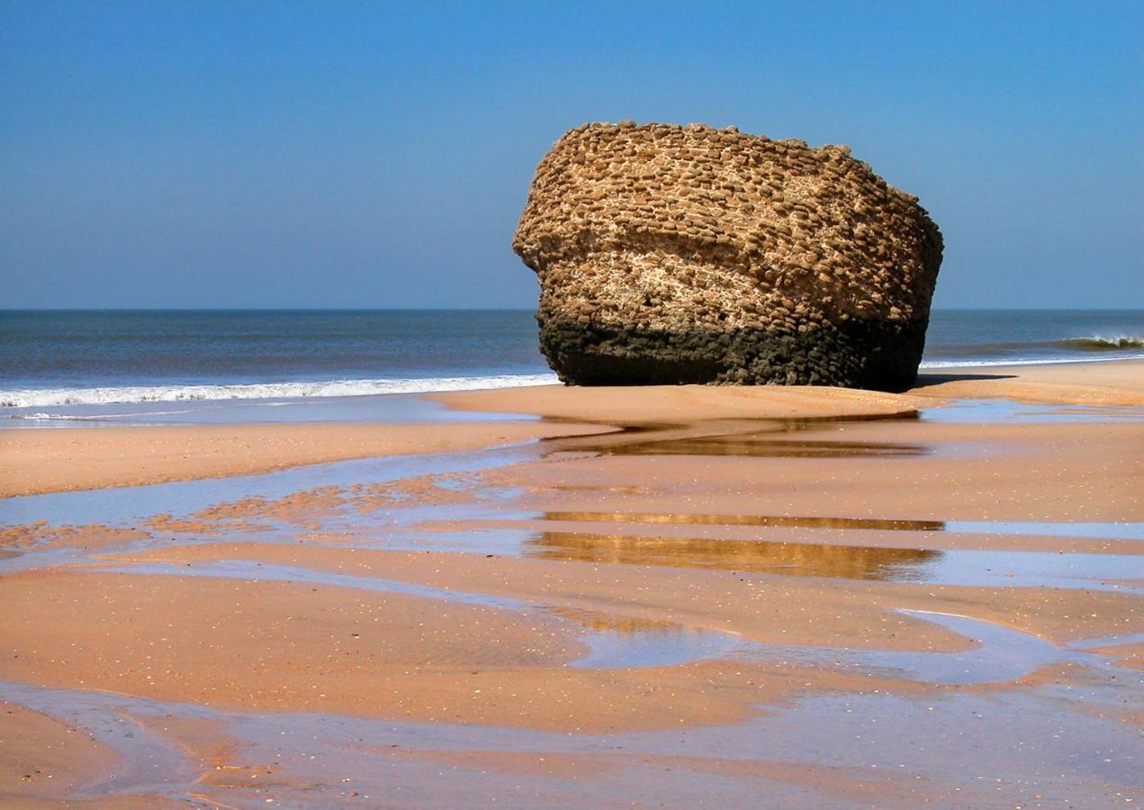 Estudio Primera Linea De Playa Matalascanas Bagian luar foto